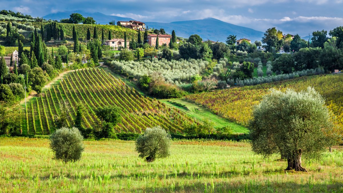 tuscany agriculture tourism